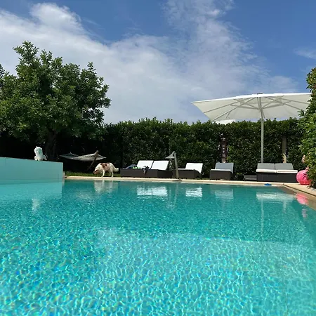 Luxury Panoramic In *