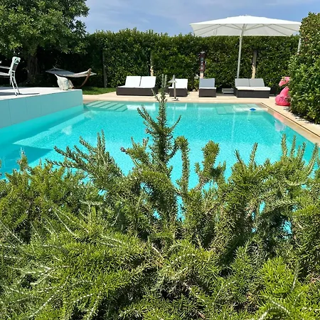 Luxury Panoramic In